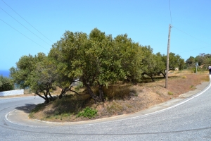 Foto Ontwikkeling Land 1000 m² Crete